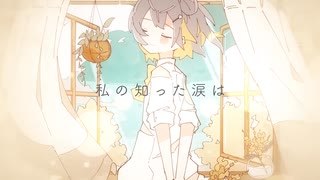 追憶ポエジー / 雪乃イト【歌ってみた】Covered by mizuna